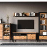 Гостиная Лофт (Loft) BRW заказать по цене 58 330 руб. в Омске