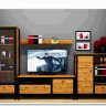 Гостиная Лофт (Loft) BRW заказать по цене 58 330 руб. в Омске
