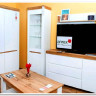 Тумба Таурус 1D3S Anrex заказать по цене 22 000 руб. в Омске