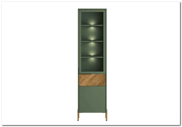Витрина Siena REG1W1D1S дымчатый зеленый/дуб вотан BRW заказать по цене 28 950 руб. в Омске
