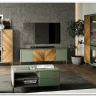 Витрина Siena REG1W1D дымчатый зеленый/дуб вотан BRW заказать по цене 43 630 руб. в Омске