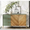 Витрина Siena REG1W1D дымчатый зеленый/дуб вотан BRW заказать по цене 43 630 руб. в Омске